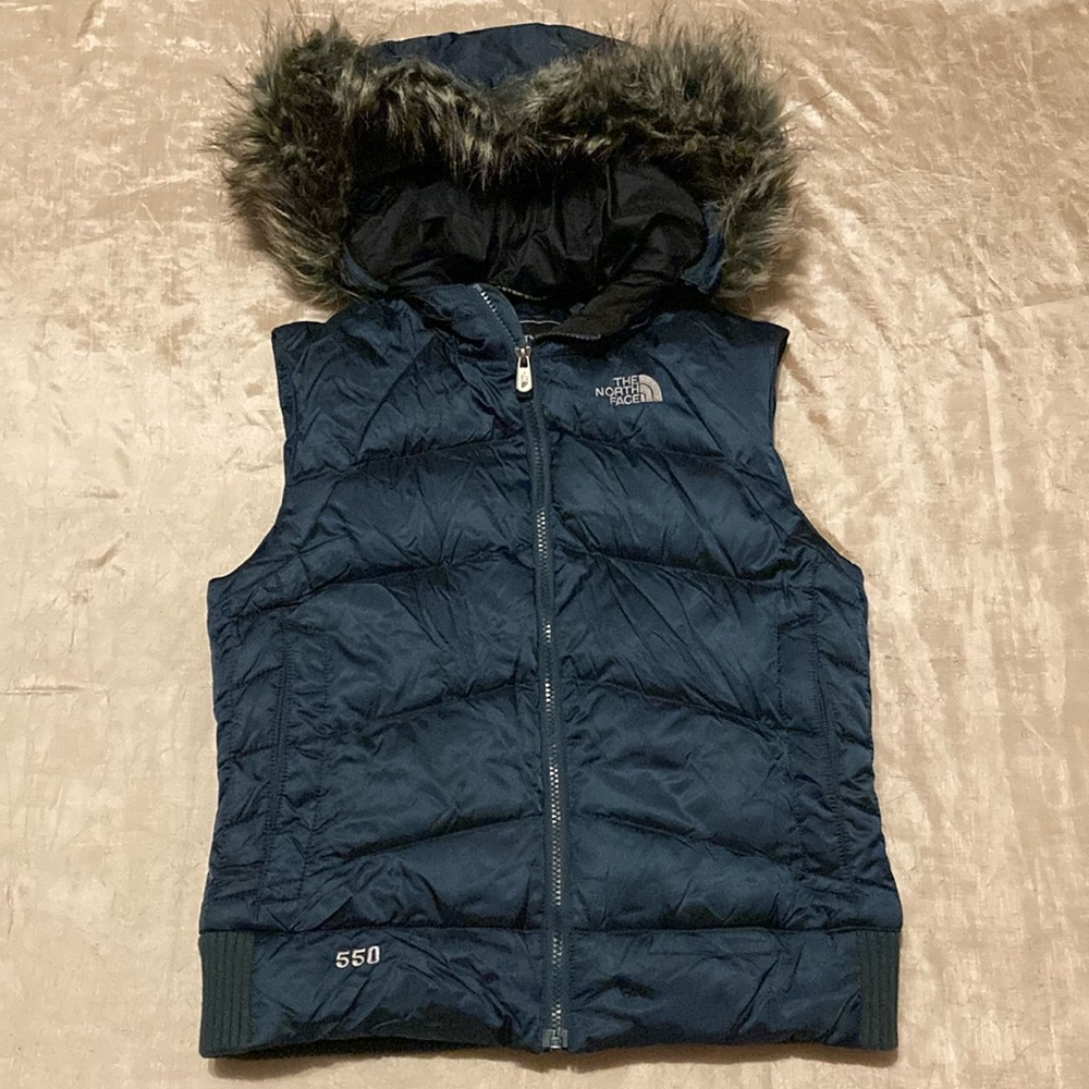 THE NORTH FACE 550 Down Hooded Vest